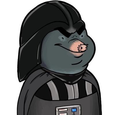 madmole@mast.madmolelabs.com