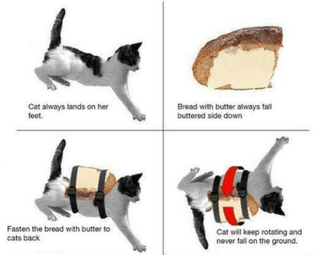 Сливочное масло коту. Кот бутерброд. Кот и бутерброд вечный двигатель. Кот и хлеб с маслом. Кошка и бутерброд с маслом.